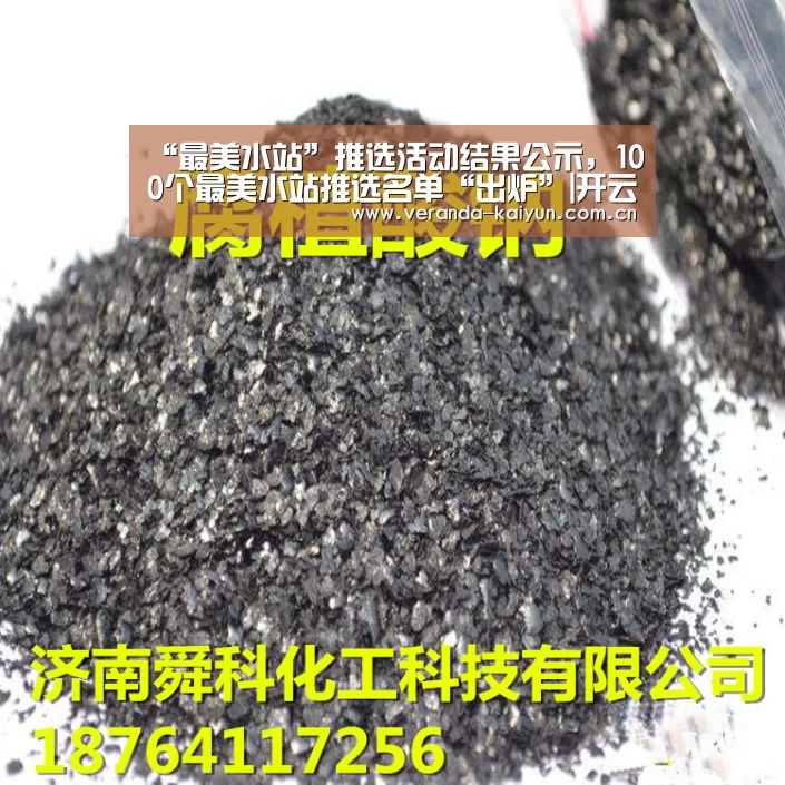 开云官方入口