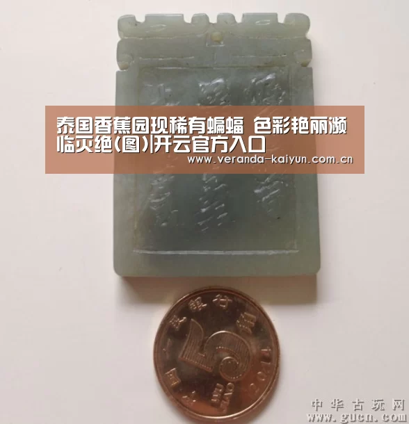 泰国香蕉园现稀有蝙蝠 色彩艳丽濒临灭绝(图)|开云官方入口(图1) 开云官网