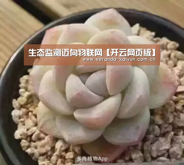 生态监测迈向物联网【开云网页版】(图1) 开云在线平台