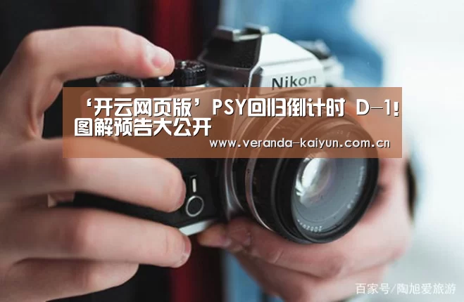 开云网页版