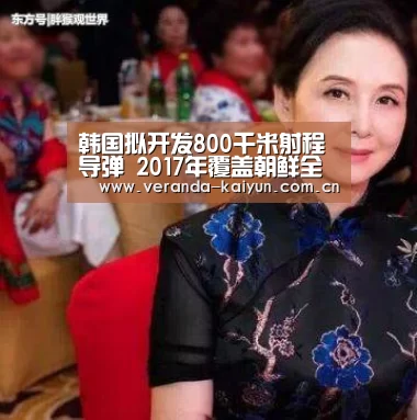 韩国拟开发800千米射程导弹 2017年覆盖朝鲜全境:开云在线平台(图2) 开云网页版
