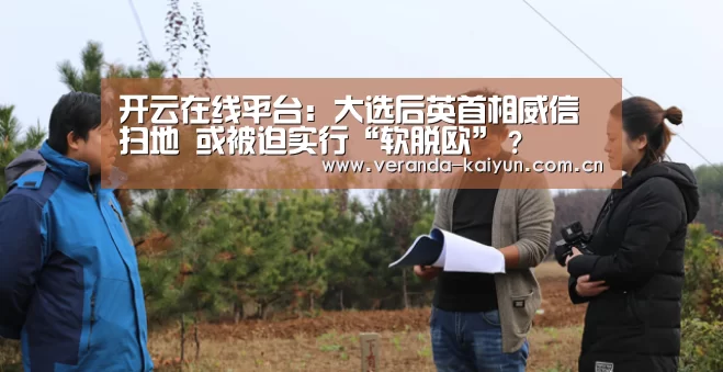 开云在线平台:大选后英首相威信扫地 或被迫实行“软脱欧”?(图1) 开云官方入口