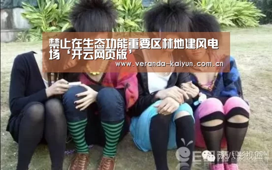 禁止在生态功能重要区林地建风电场‘开云网页版’(图1) 开云网页版