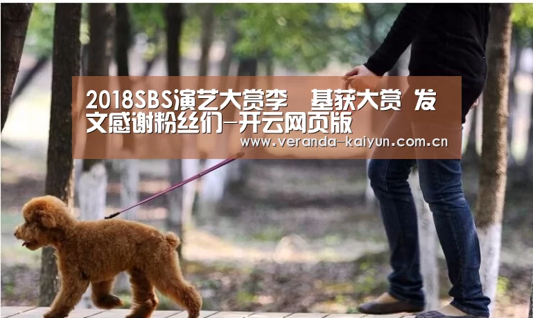 开云官方入口