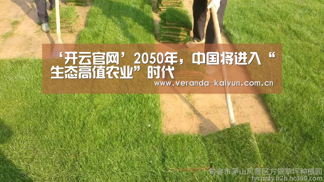 开云网页版