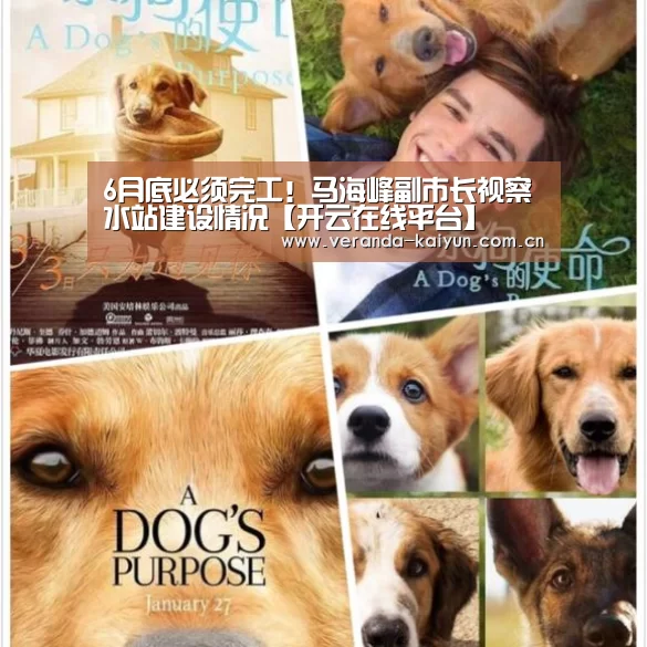 开云官网