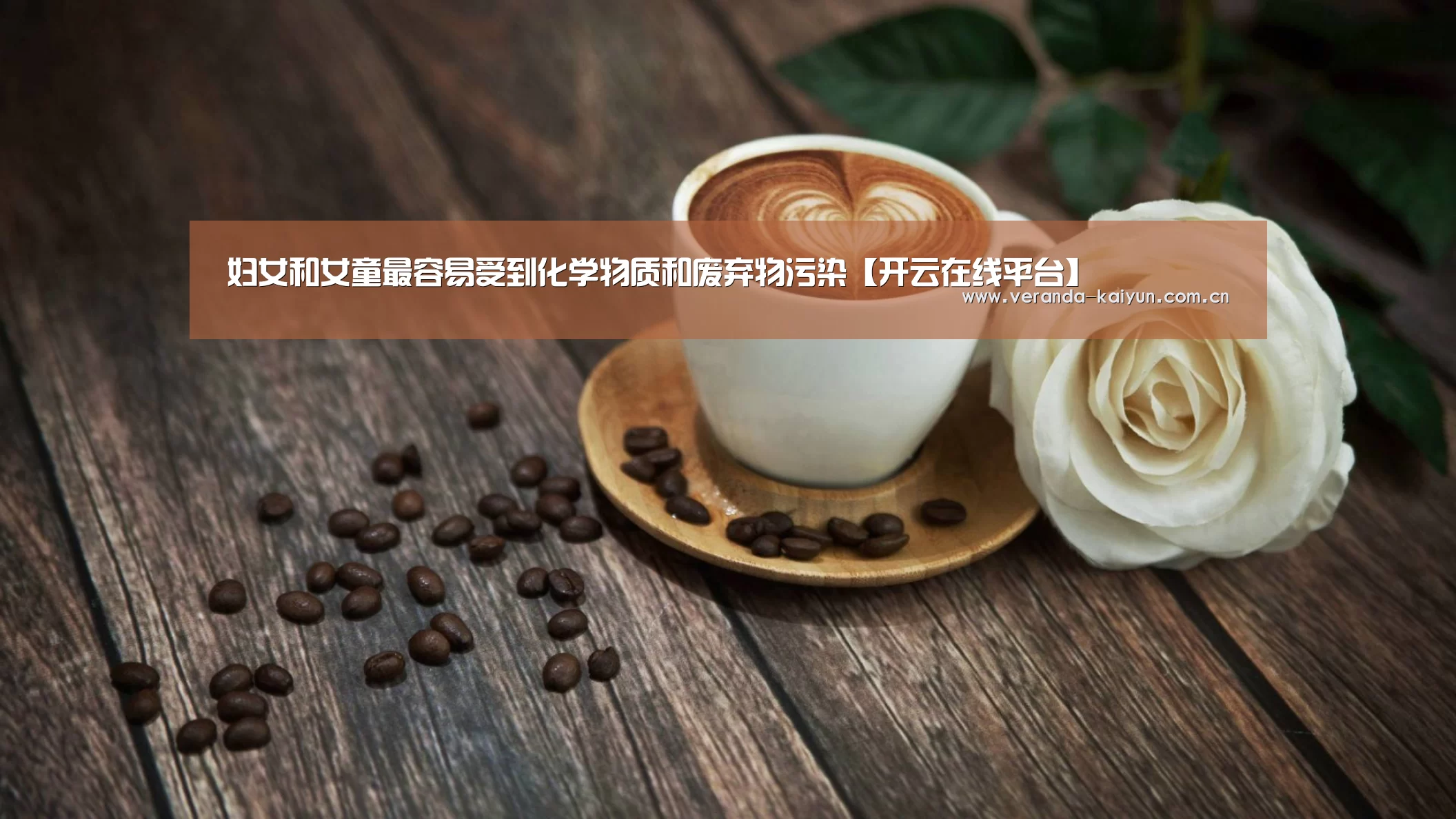 开云官方入口