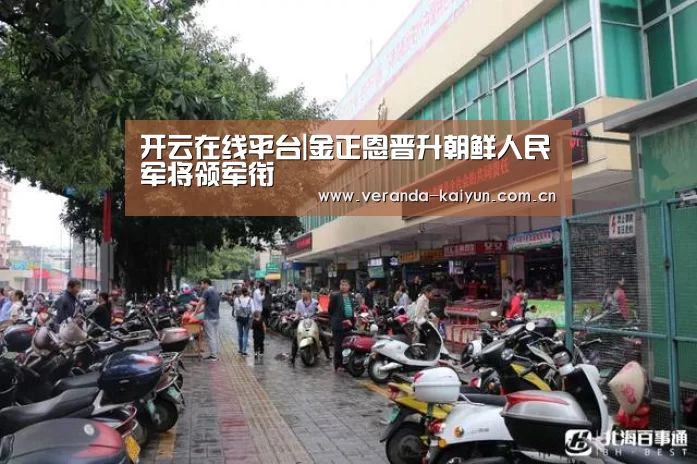 开云在线平台|金正恩晋升朝鲜人民军将领军衔(图1) 开云网页版